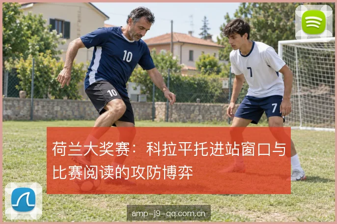 年轻车手的决策边界